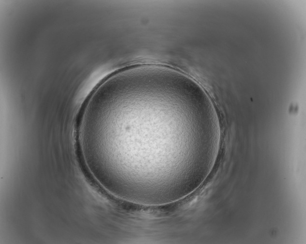X0000092070103200709191212