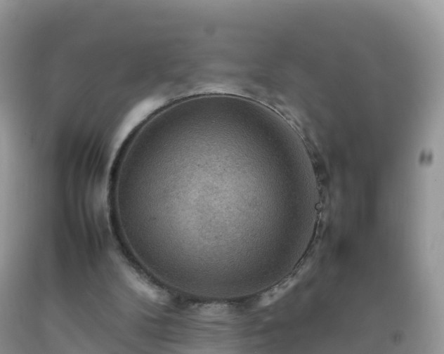 X0000092070104200709191212