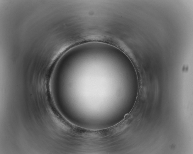 X0000092070106200709191212