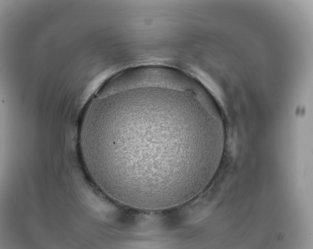 X0000092070107200709191212