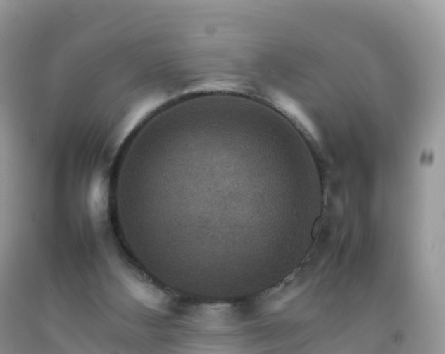 X0000092070108200709191212