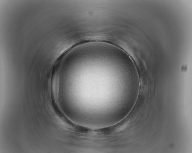 X0000092070109200709191212