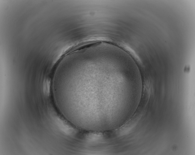 X0000092070110200709191212