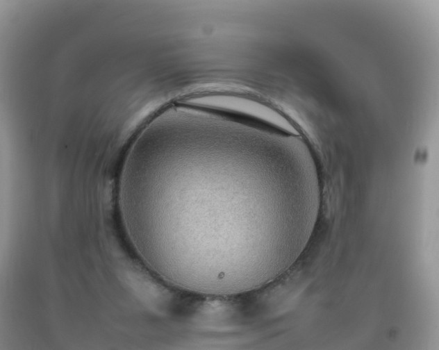 X0000092070111200709191212