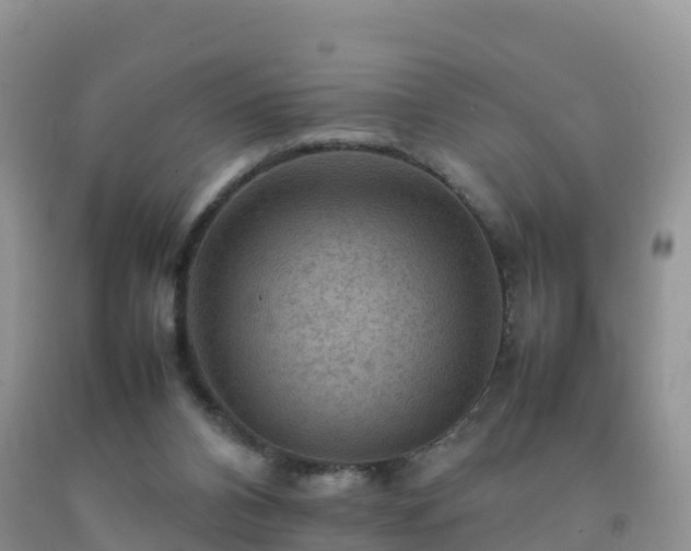X0000092070112200709191212