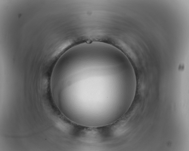 X0000092070113200709191212