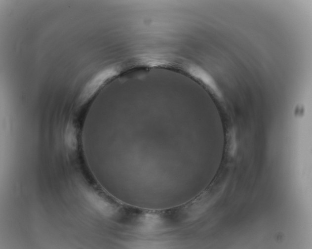 X0000092070114200709191212