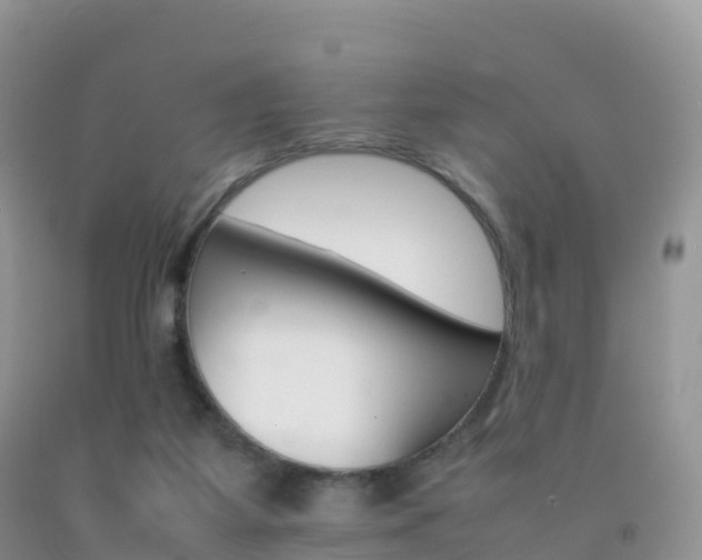 X0000092070115200709191212