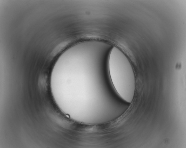 X0000092070116200709191212