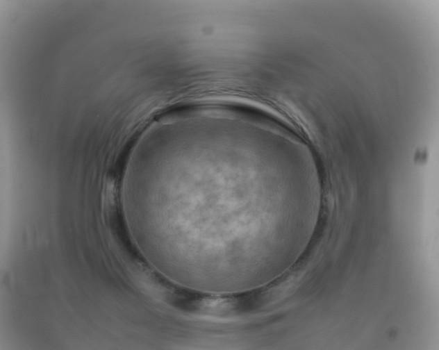 X0000092070117200709191212