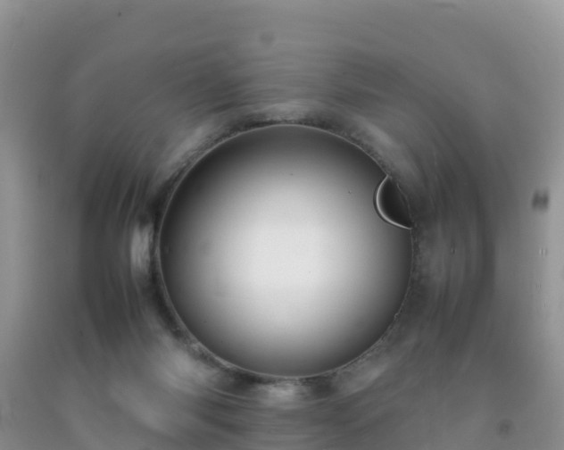 X0000092070118200709191212