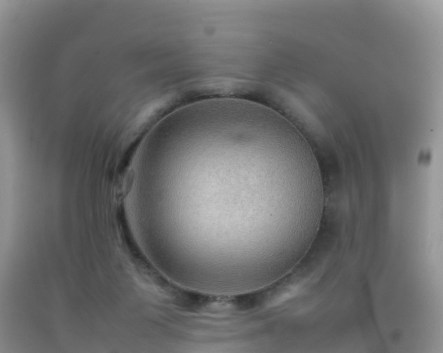 X0000092070119200709191212