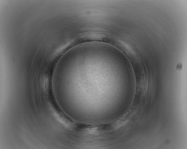 X0000092070120200709191212