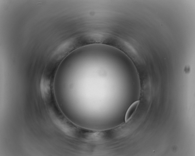 X0000092070122200709191212