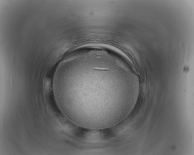 X0000092070123200709191212
