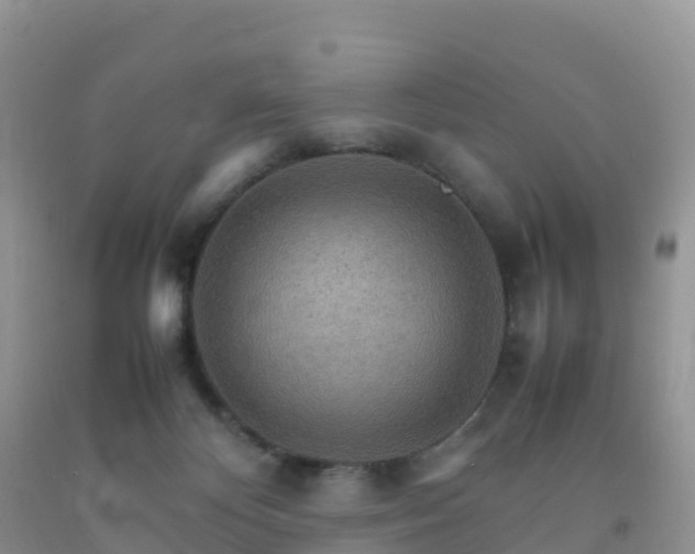 X0000092070124200709191212