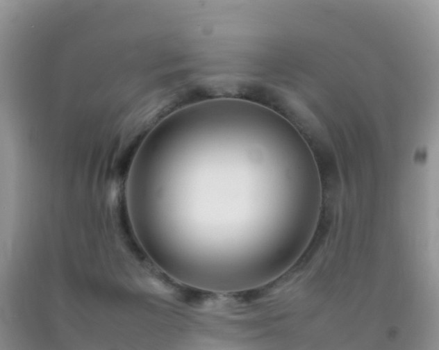 X0000092070125200709191212