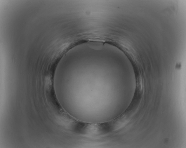 X0000092070127200709191212
