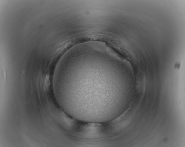 X0000092070128200709191212