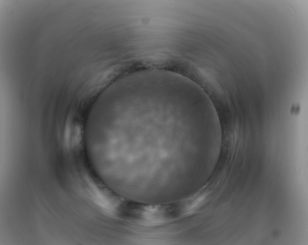 X0000092070130200709191212