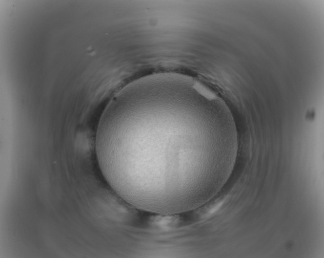 X0000092070135200709191212