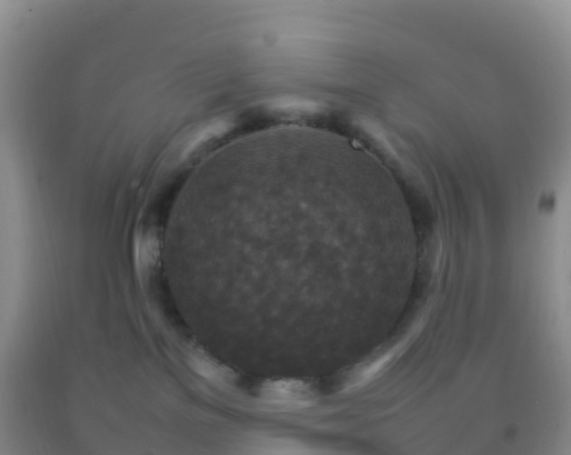 X0000092070137200709191212