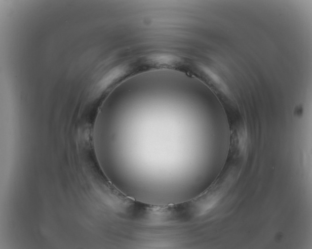 X0000092070141200709191212