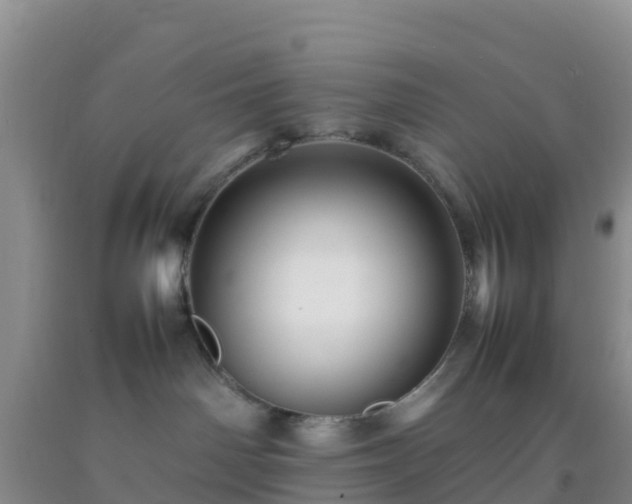 X0000092070142200709191212