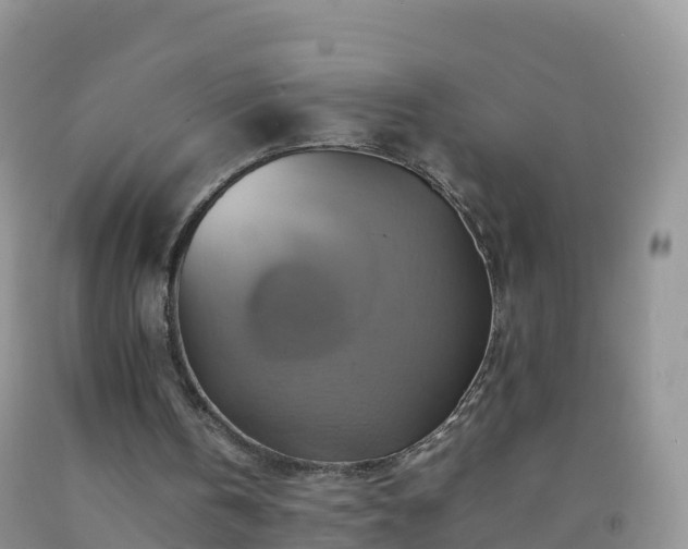 X0000092070146200709191211
