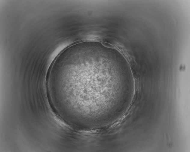 X0000092070147200709191211