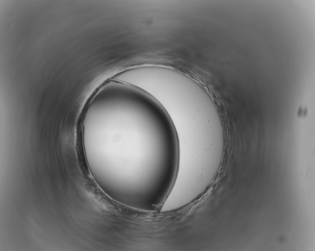 X0000092070148200709191211