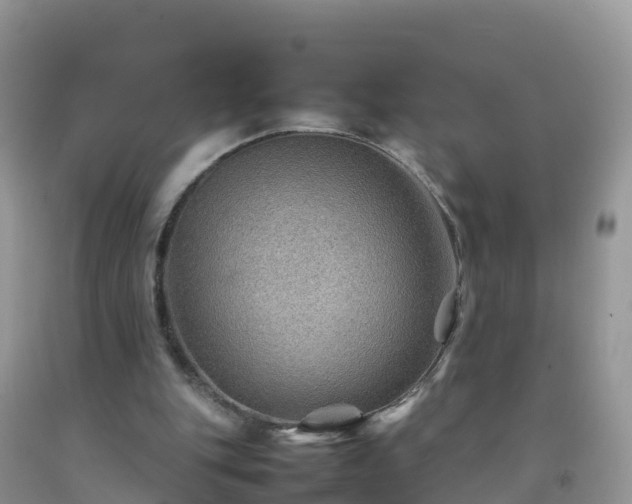 X0000092070151200709191211