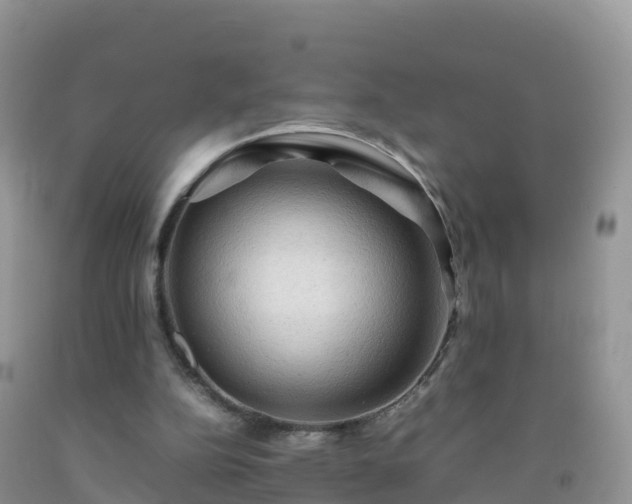 X0000092070152200709191211