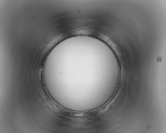 X0000092070153200709191211