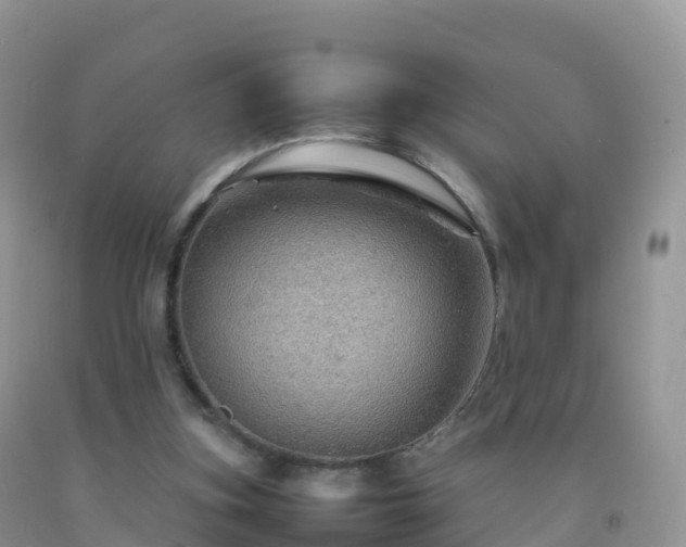 X0000092070155200709191211
