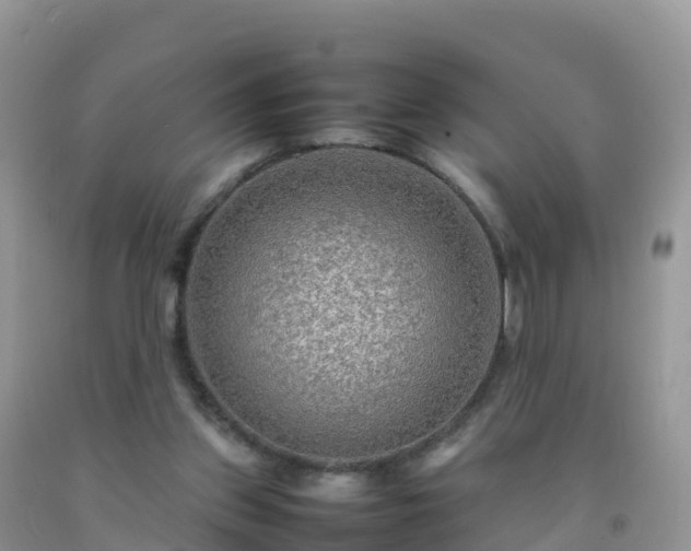 X0000092070157200709191211