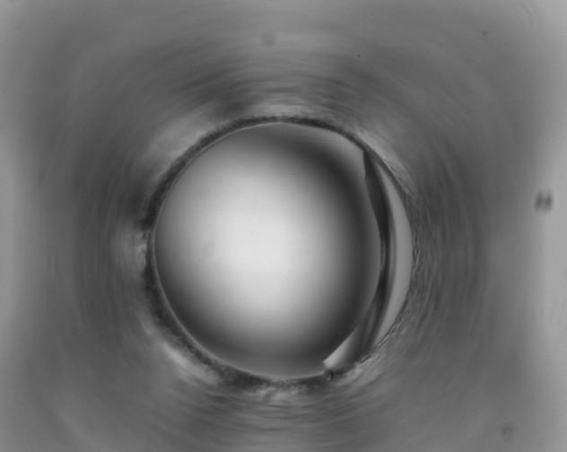 X0000092070160200709191211