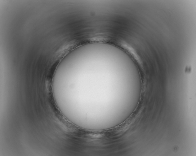 X0000092070161200709191211