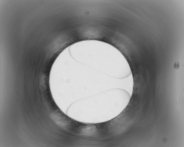 X0000092070162200709191211