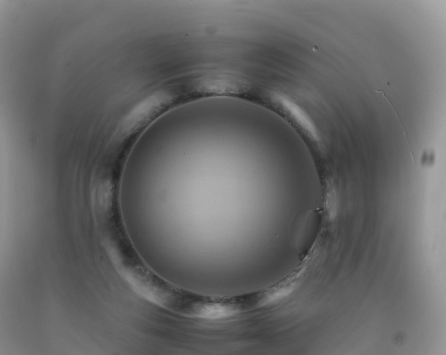 X0000092070163200709191211