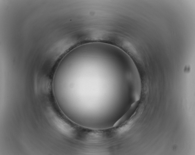 X0000092070164200709191211