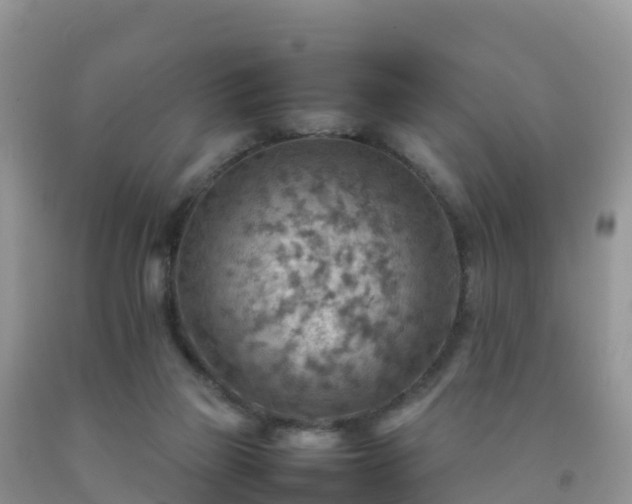 X0000092070165200709191211