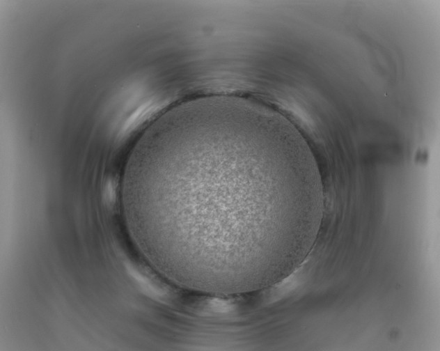 X0000092070166200709191211