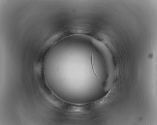 X0000092070167200709191211