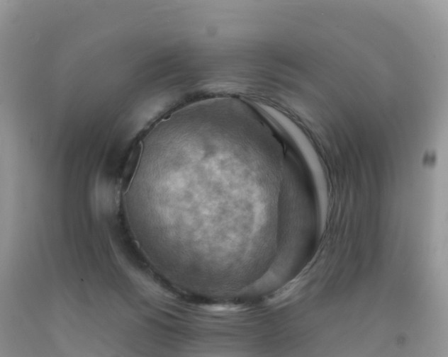 X0000092070168200709191211