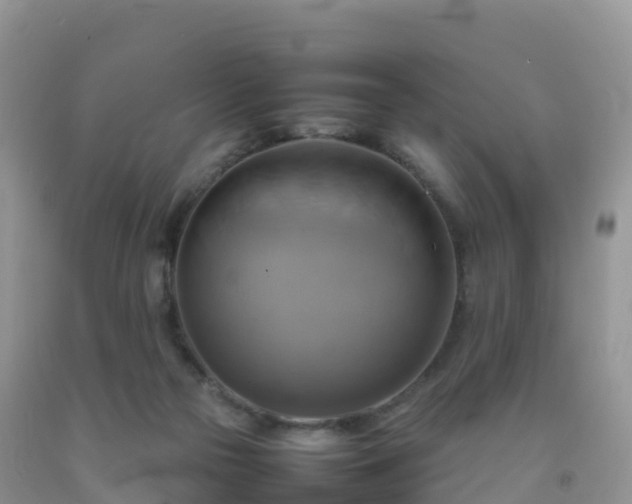 X0000092070169200709191211