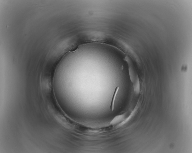 X0000092070170200709191211