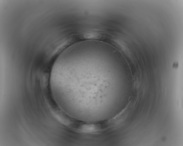 X0000092070171200709191211