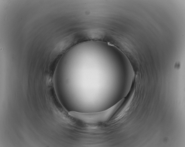 X0000092070176200709191211