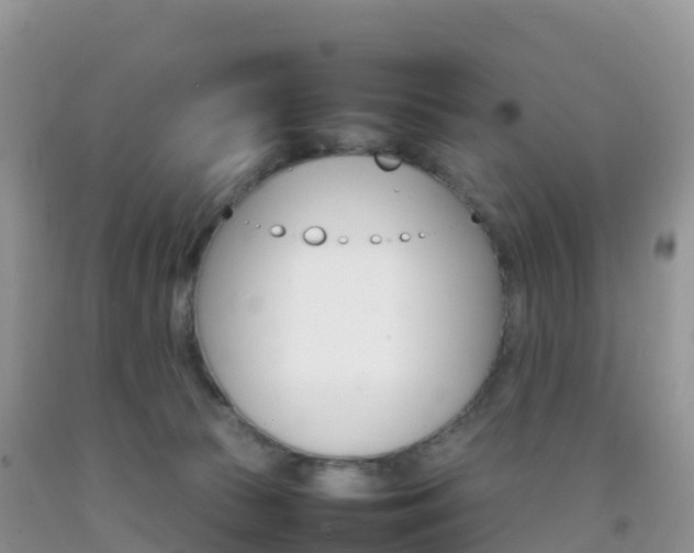 X0000092070177200709191212